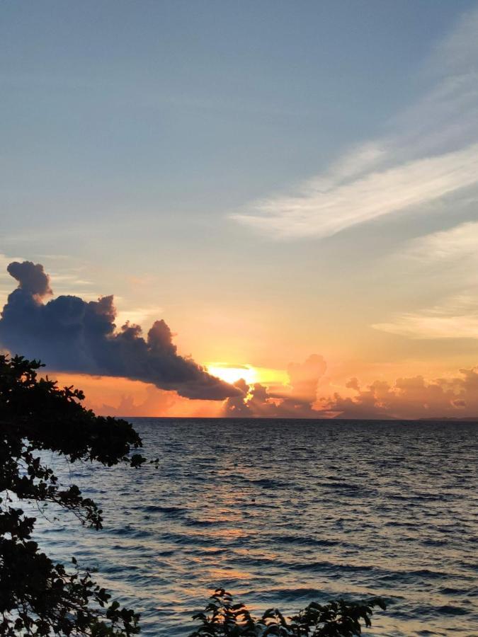 Blue Ribbon Dive Resort Mabini  Luaran gambar